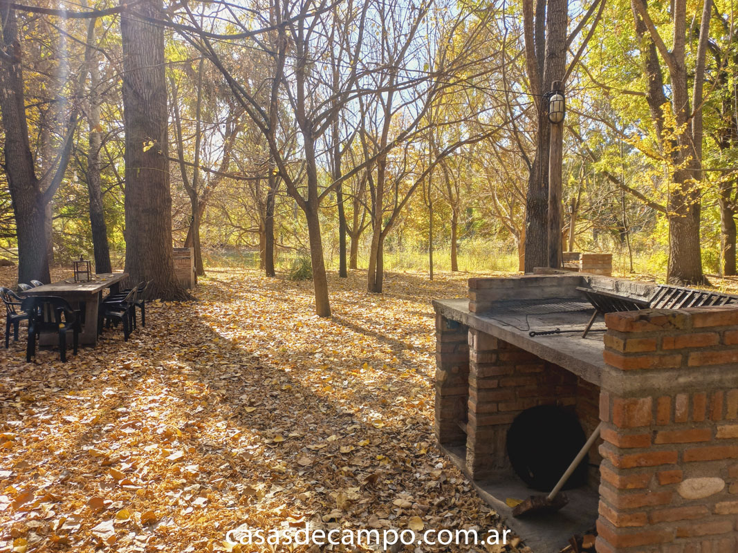 1 Dormitorio Habitaciones, ,1 BañoBathrooms,Casa de Campo,Alquiler Temporario,1157