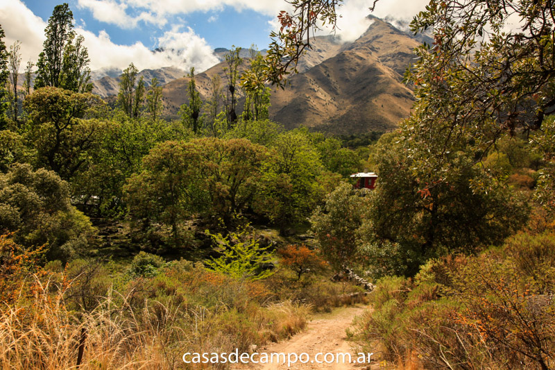 6 Habitaciones Habitaciones, ,4 BathroomsBathrooms,Casa de Campo,Alquiler Temporario,1169